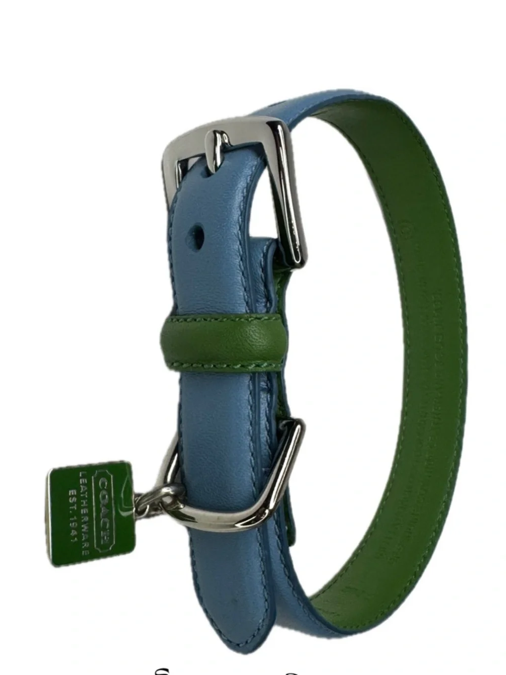 Coach Green Blue  Leather Vintage Y2 K ID Tag Size S Small 11-13” Dog Collar